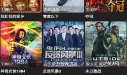 迪拜爆料网赌视频最新版,揭秘赌场内幕与风险