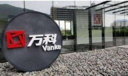 万科爆料最新消息今天,揭秘行业变革背后的秘密！”