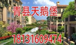 青县爆料最新消息网,最新动态盘点，揭秘青县热点事件！