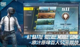 吃鸡新皮肤爆料最新版,揭秘爆料最新版神秘面纱