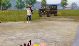 吃鸡车皮肤爆料最新,神秘爆料引玩家热议！