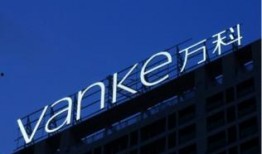 万科爆料最新消息今天,揭秘行业变革背后的秘密！”